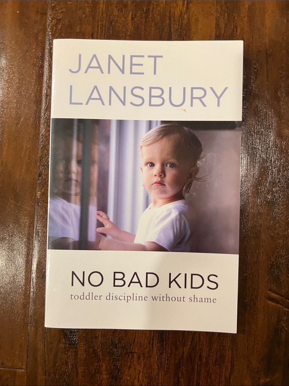 Janet Lansbury "No Bad Kids: Toddler Discipline Without Shame